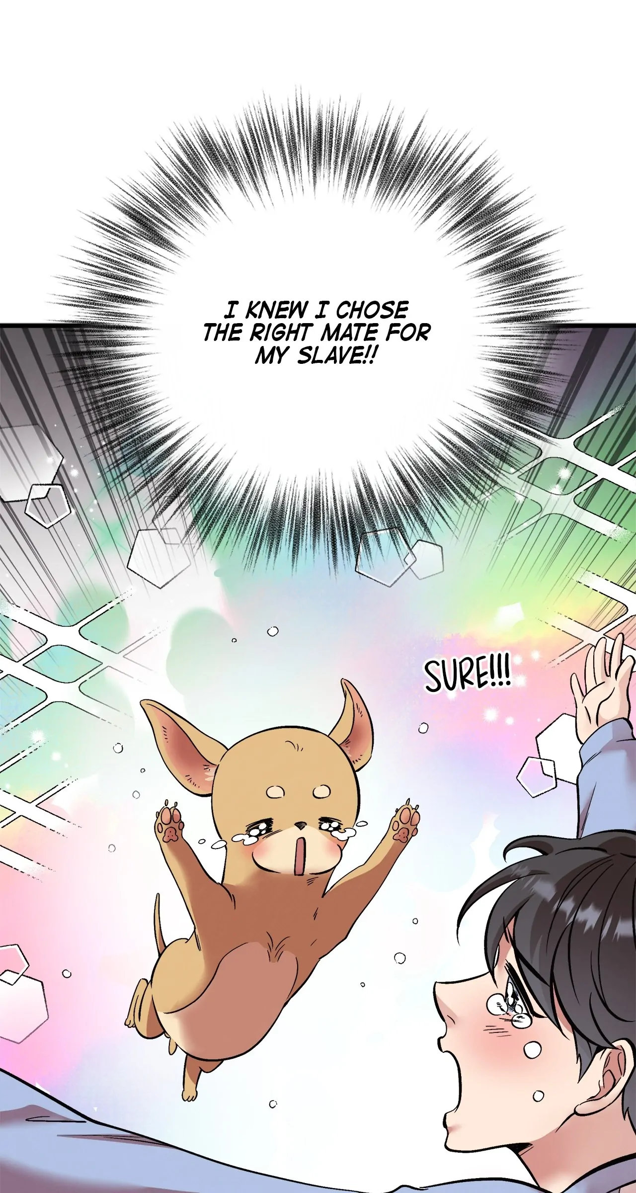 Honey Bear Chapter 71 - Page 77