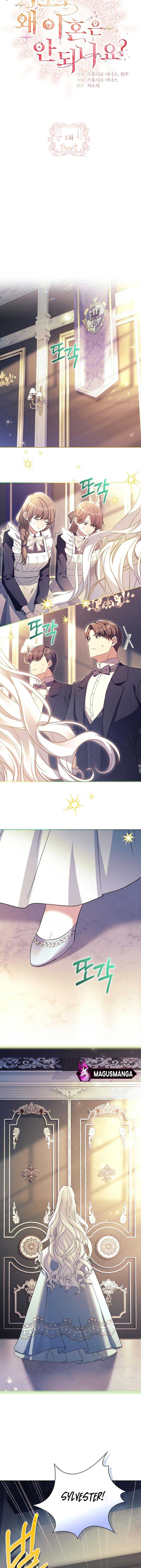 Honey, Why Can’t We Get a Divorce? Chapter 1 - Page 3
