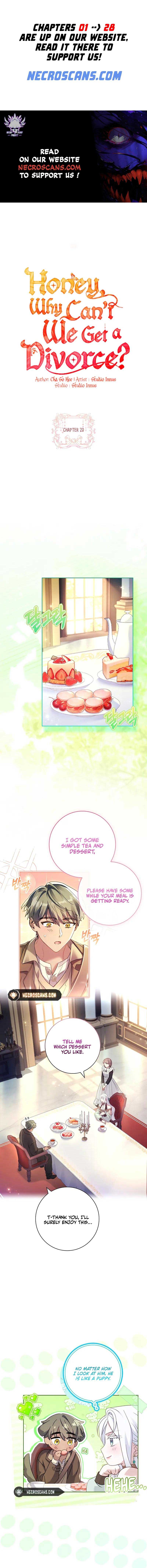 Honey, Why Can’t We Get a Divorce? Chapter 20 - Page 1