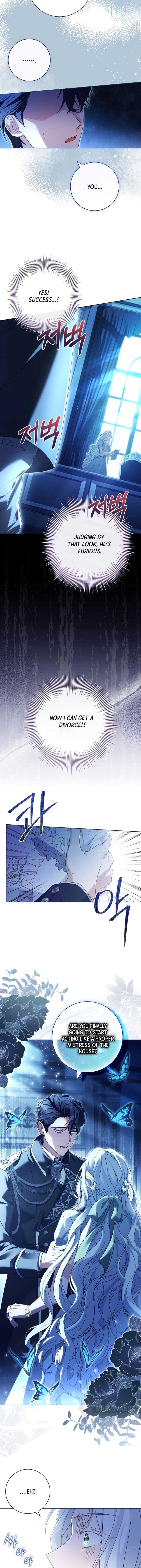Honey, Why Can’t We Get a Divorce? Chapter 3 - Page 13