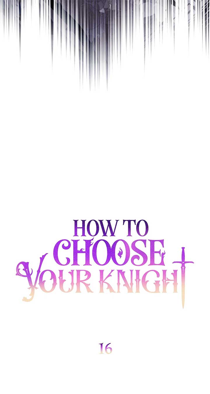 How to Choose Your Knight Chapter 16 - Page 15