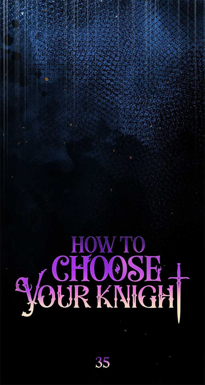 How to Choose Your Knight Chapter 35 - Page 42