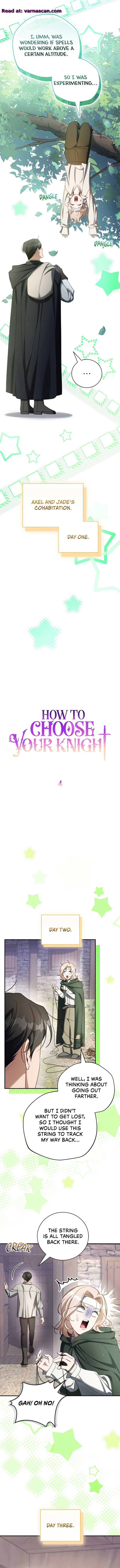 How to Choose Your Knight Chapter 4 - Page 2