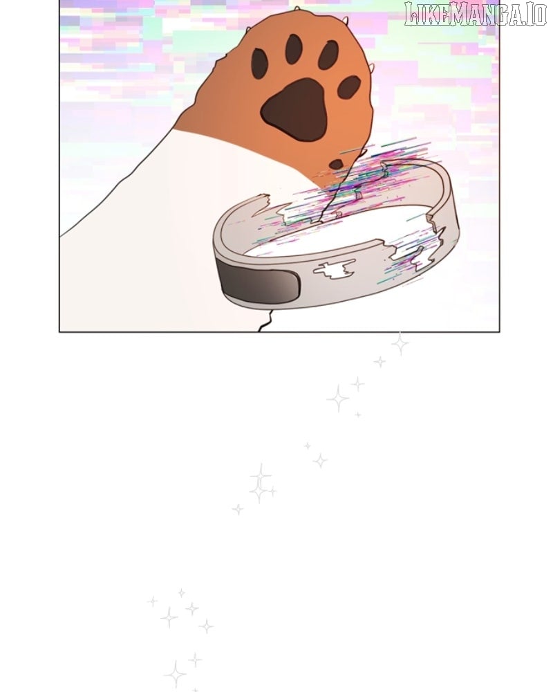How to Hold X’s Leash Chapter 65 - Page 14
