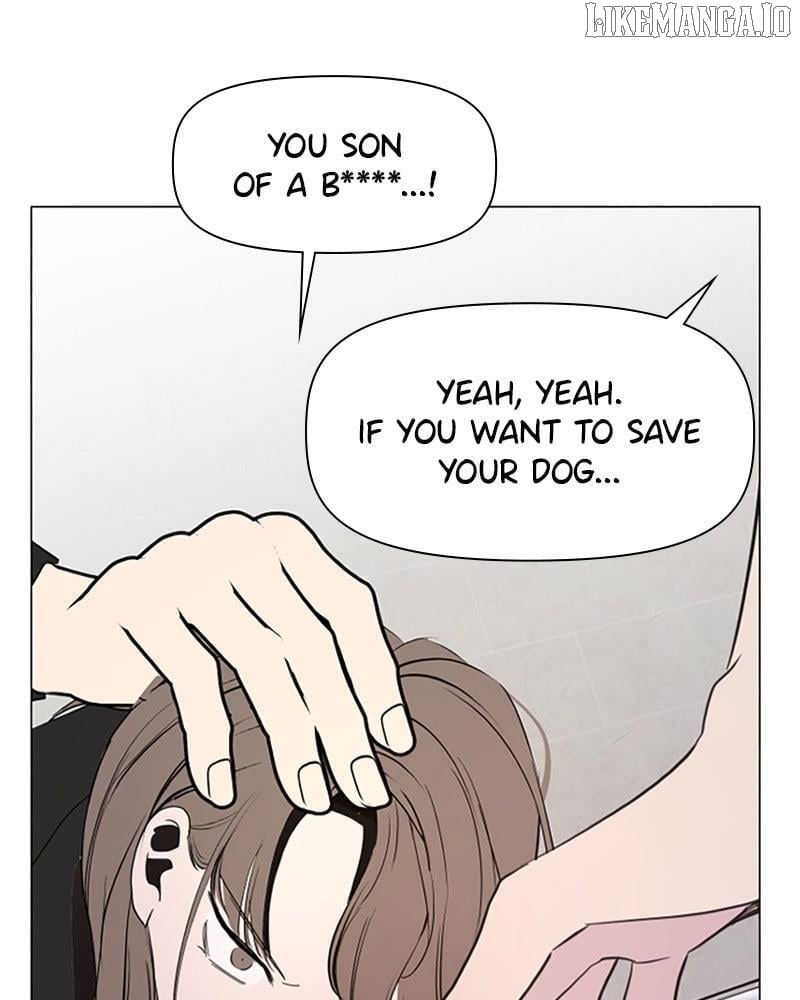 How to Hold X’s Leash Chapter 71 - Page 12