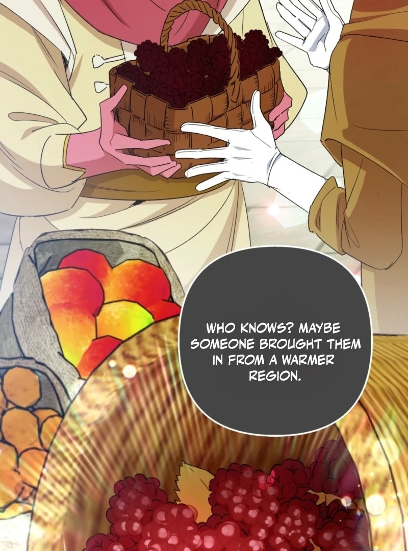 How to Perfectly End a Contract Marriage Chapter 47 - Page 41