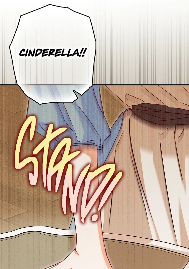 I, A Harvest Mouse, Will Take Cinderella Away Chapter 1 - Page 107