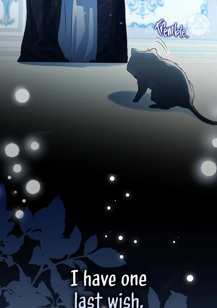 I, A Harvest Mouse, Will Take Cinderella Away Chapter 1 - Page 40