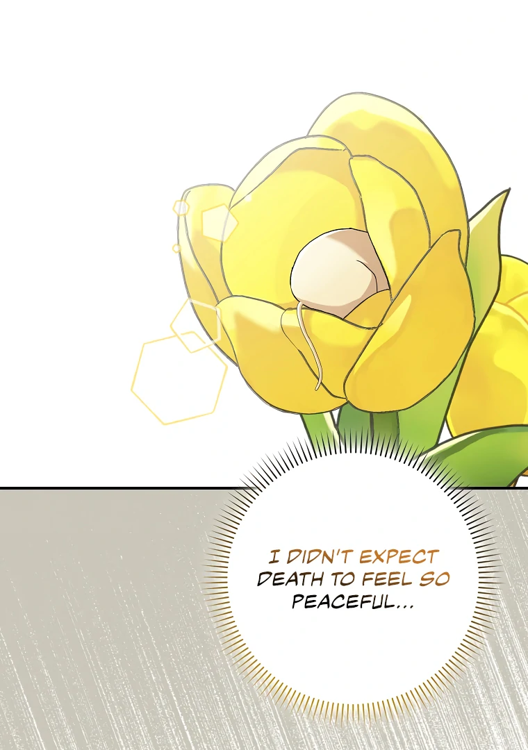 I, A Harvest Mouse, Will Take Cinderella Away Chapter 1 - Page 92