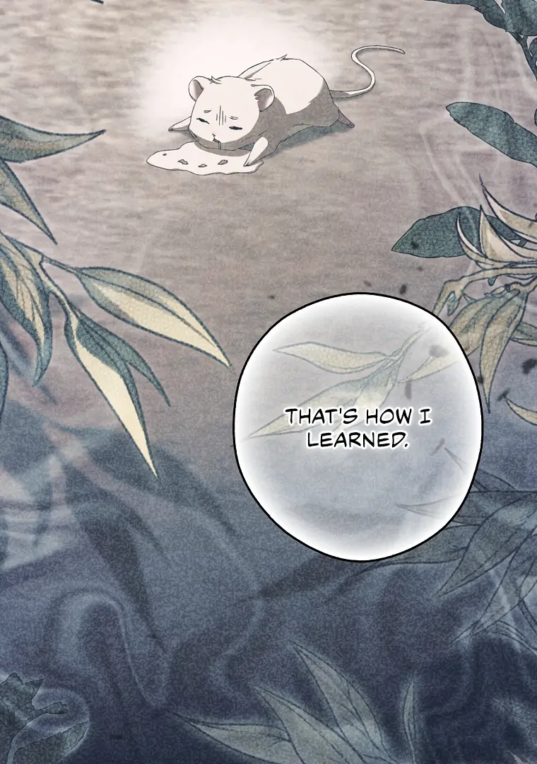 I, A Harvest Mouse, Will Take Cinderella Away Chapter 11 - Page 68