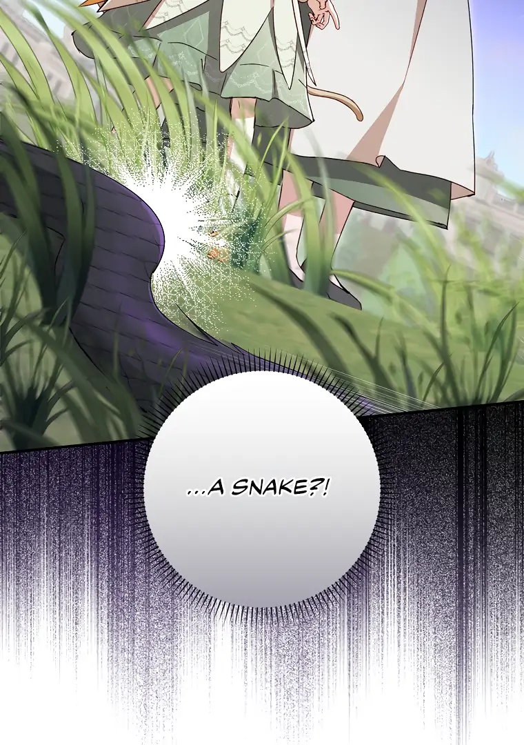 I, A Harvest Mouse, Will Take Cinderella Away Chapter 13 - Page 47