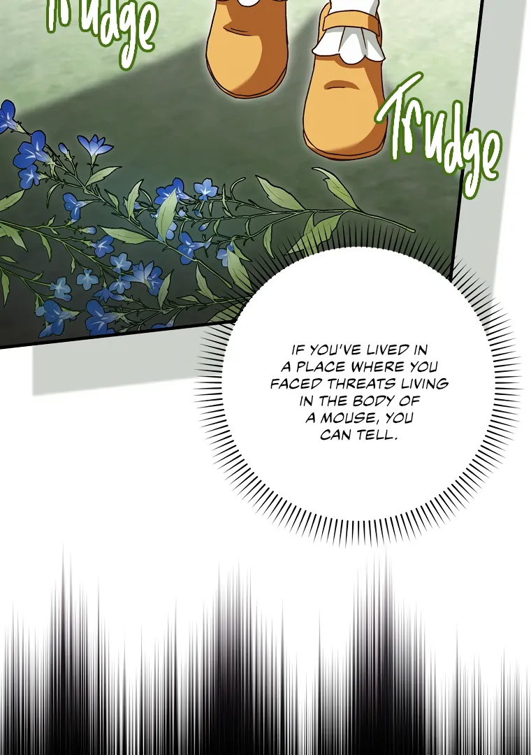 I, A Harvest Mouse, Will Take Cinderella Away Chapter 14 - Page 16