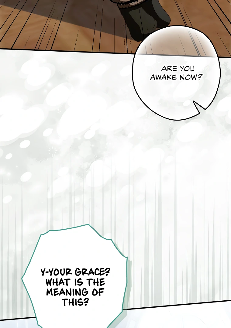 I, A Harvest Mouse, Will Take Cinderella Away Chapter 15 - Page 66