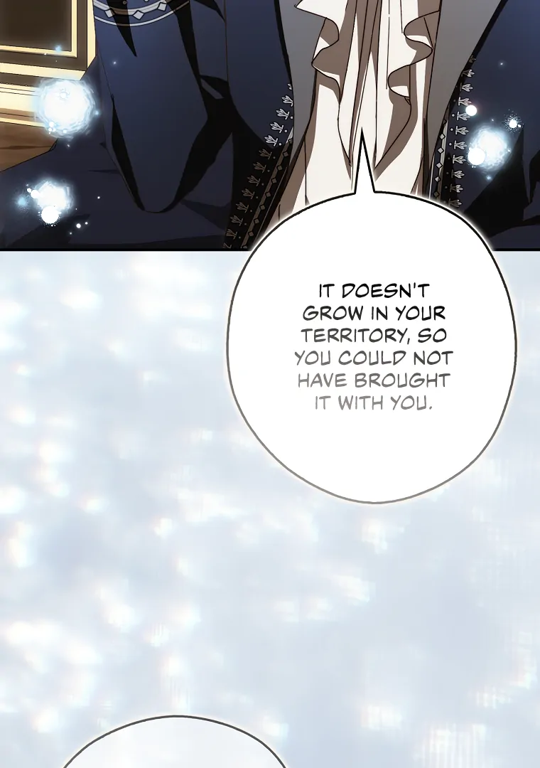 I, A Harvest Mouse, Will Take Cinderella Away Chapter 16 - Page 12
