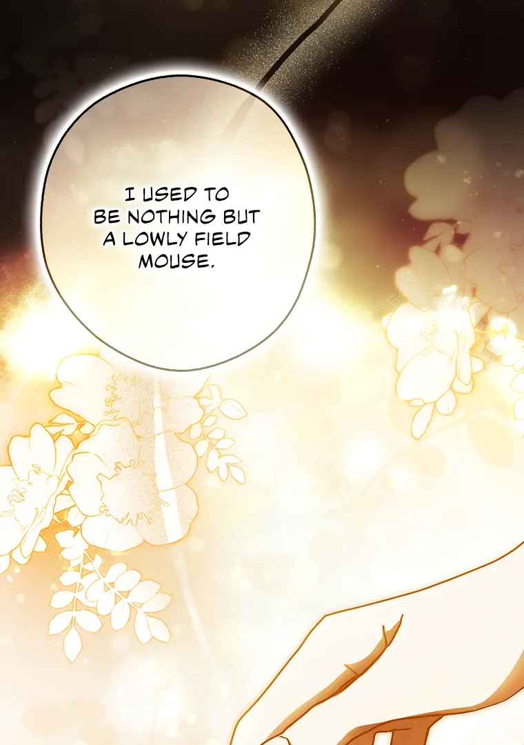 I, A Harvest Mouse, Will Take Cinderella Away Chapter 17 - Page 22