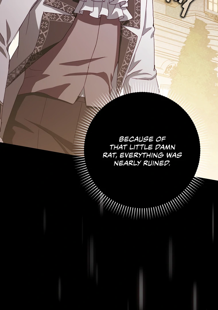 I, A Harvest Mouse, Will Take Cinderella Away Chapter 19 - Page 111