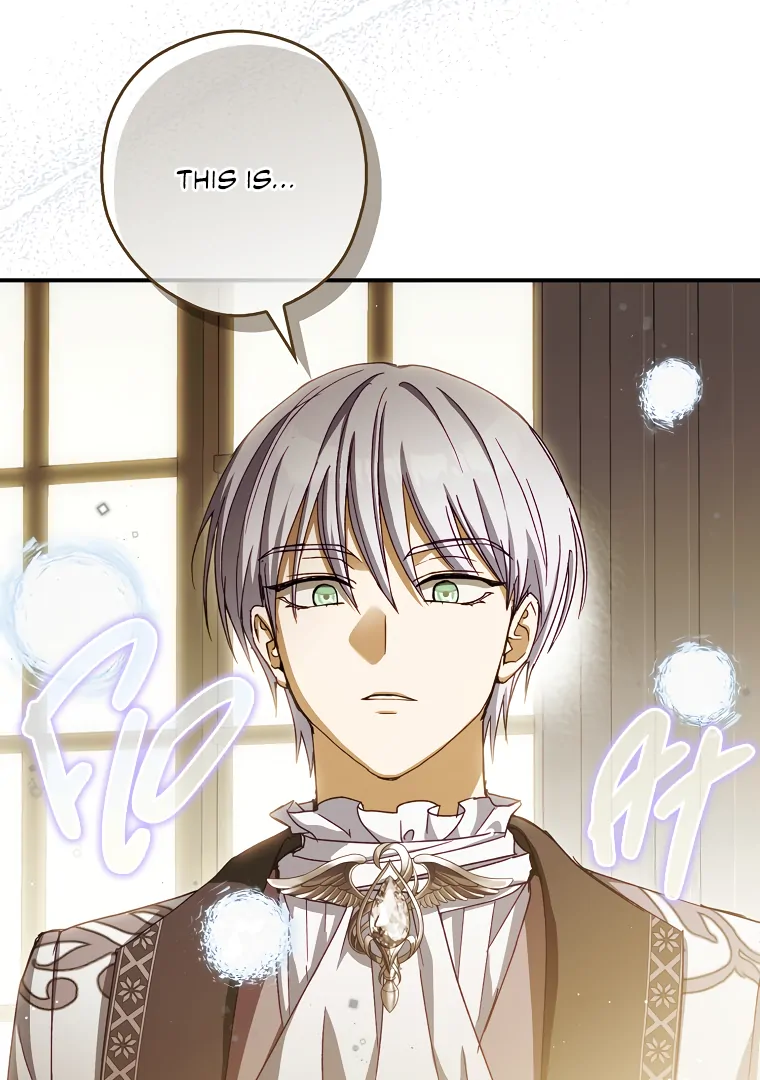 I, A Harvest Mouse, Will Take Cinderella Away Chapter 19 - Page 9