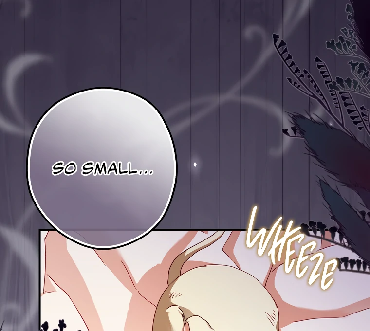 I, A Harvest Mouse, Will Take Cinderella Away Chapter 2 - Page 29