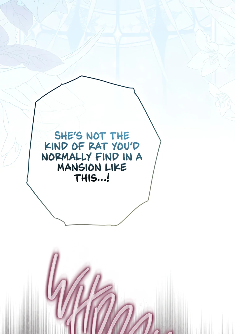 I, A Harvest Mouse, Will Take Cinderella Away Chapter 2 - Page 35