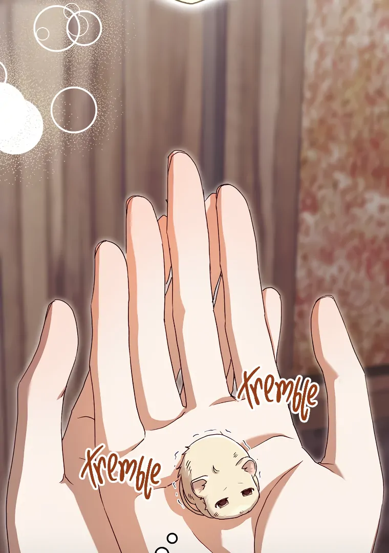 I, A Harvest Mouse, Will Take Cinderella Away Chapter 2 - Page 61