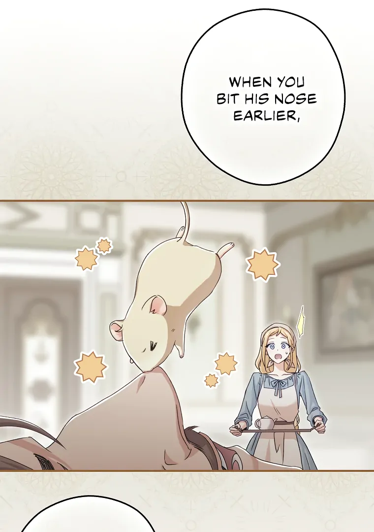 I, A Harvest Mouse, Will Take Cinderella Away Chapter 2 - Page 80