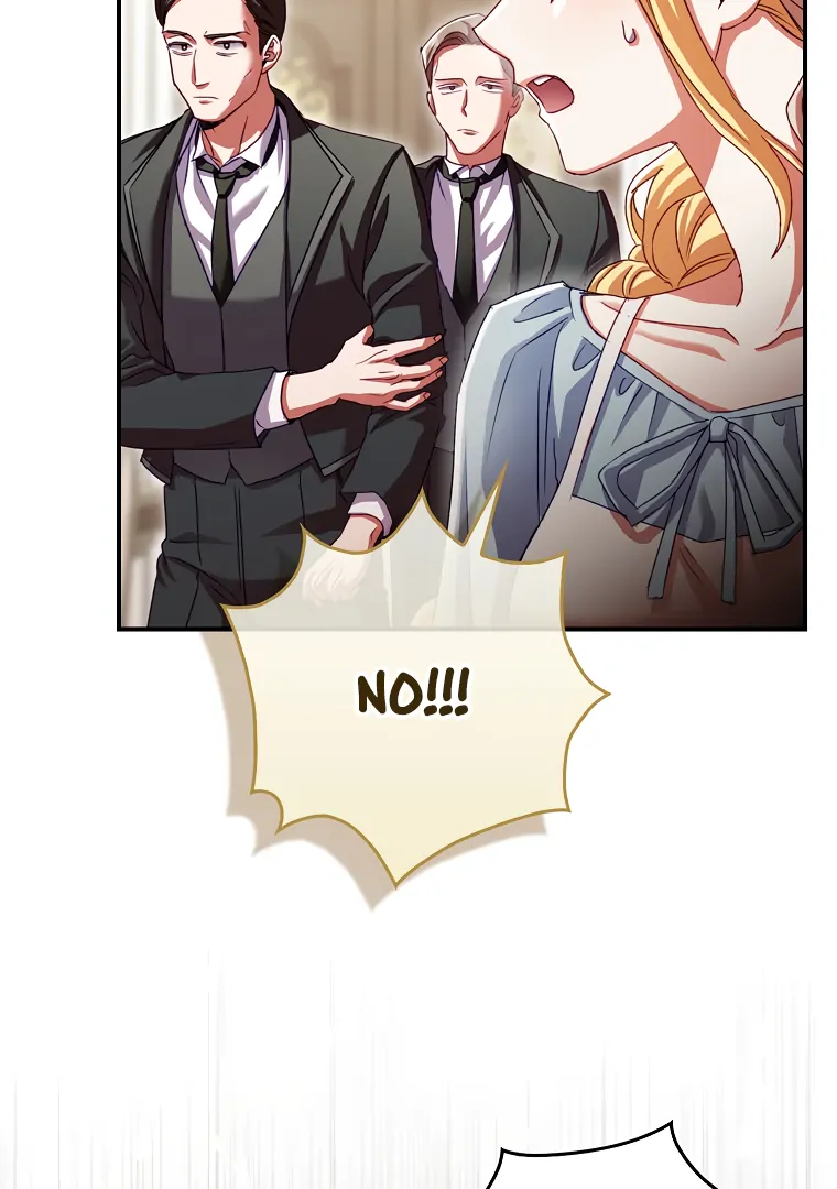 I, A Harvest Mouse, Will Take Cinderella Away Chapter 2 - Page 9