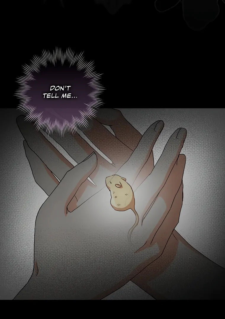I, A Harvest Mouse, Will Take Cinderella Away Chapter 3 - Page 40