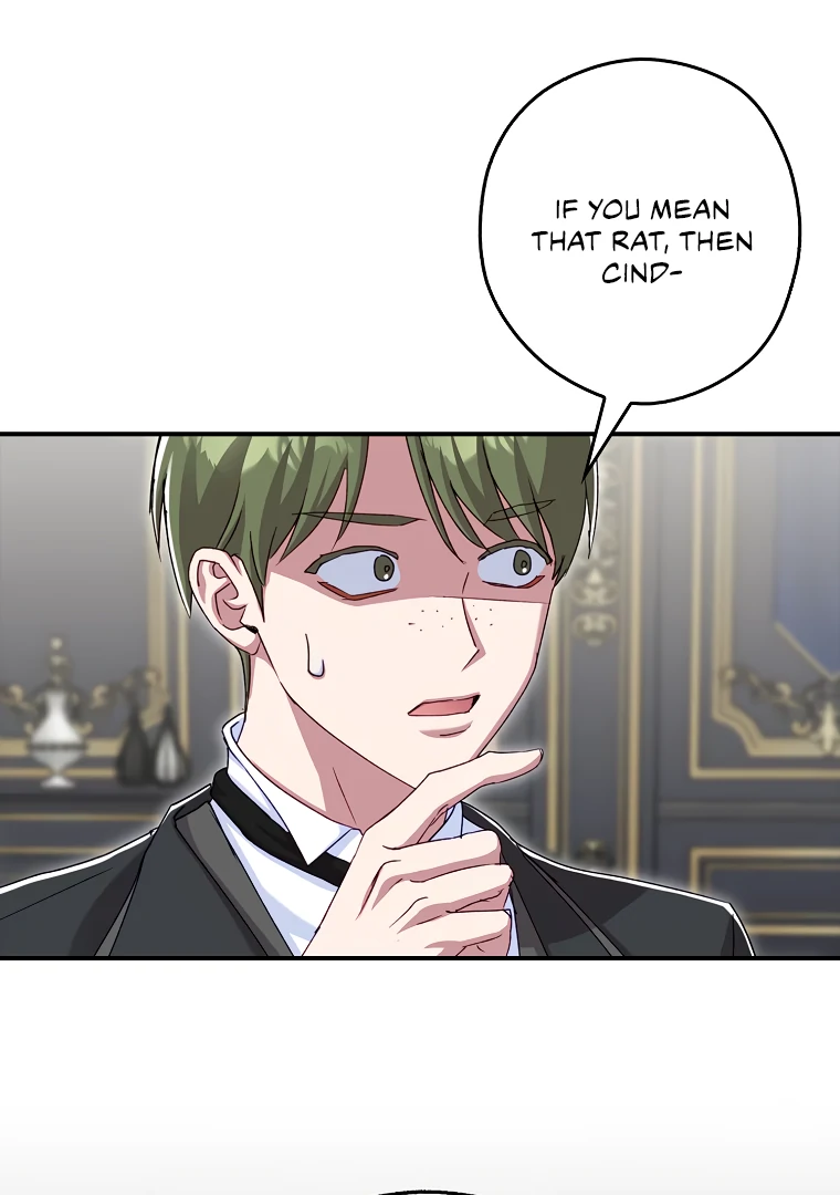 I, A Harvest Mouse, Will Take Cinderella Away Chapter 3 - Page 52