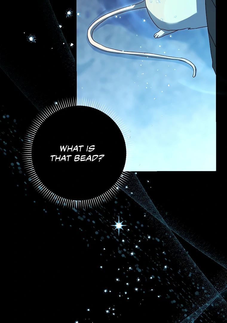 I, A Harvest Mouse, Will Take Cinderella Away Chapter 4 - Page 66