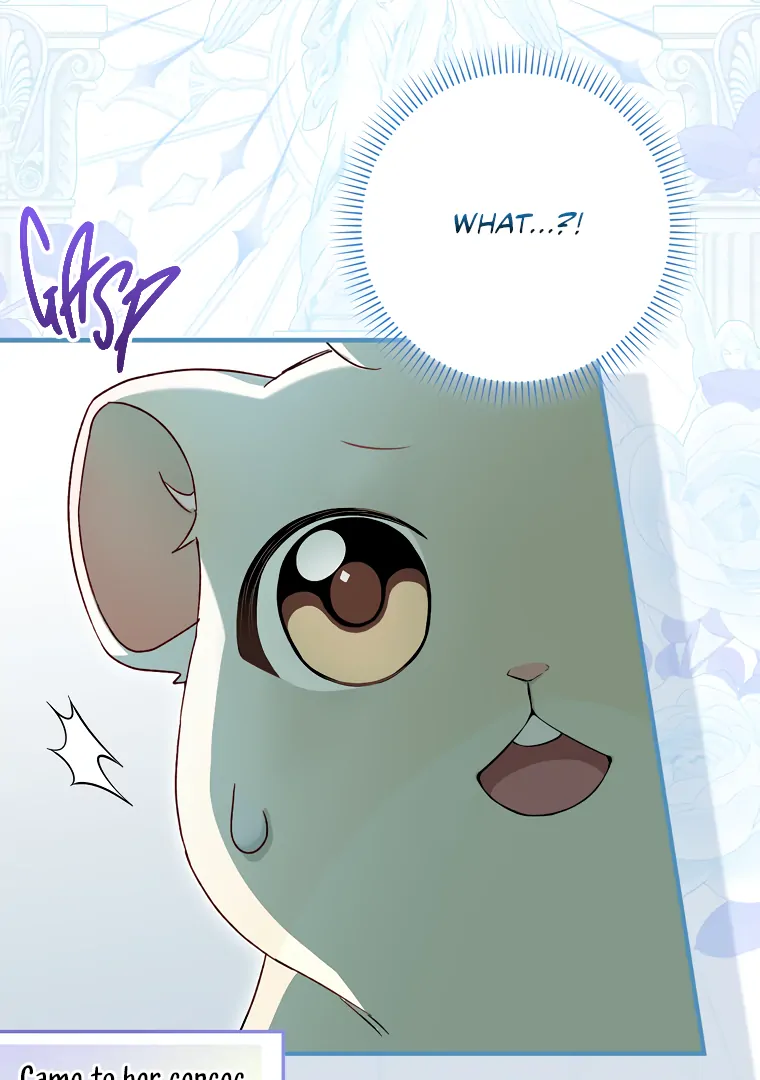 I, A Harvest Mouse, Will Take Cinderella Away Chapter 6 - Page 7