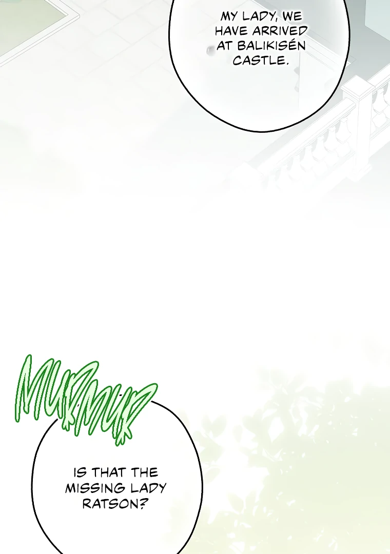 I, A Harvest Mouse, Will Take Cinderella Away Chapter 8 - Page 27