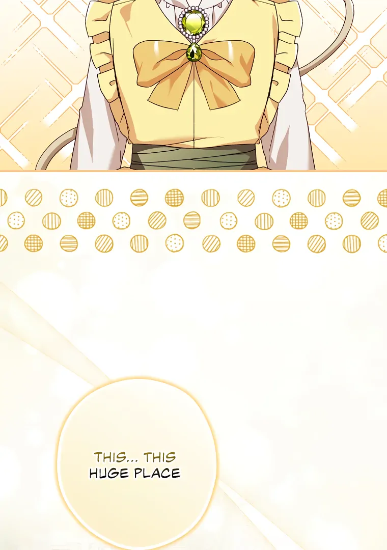 I, A Harvest Mouse, Will Take Cinderella Away Chapter 9 - Page 3