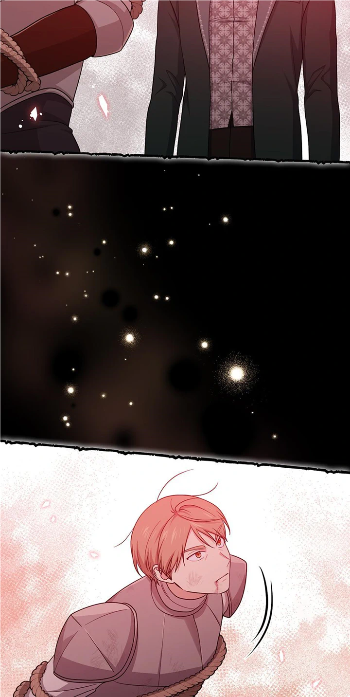 I Acted as the Adopted Daughter Too Well Chapter 42 - Page 47