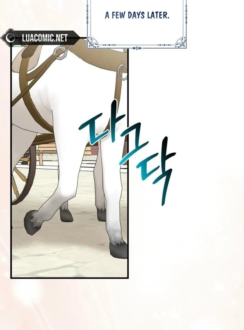 I Acted as the Adopted Daughter Too Well Chapter 97 - Page 47