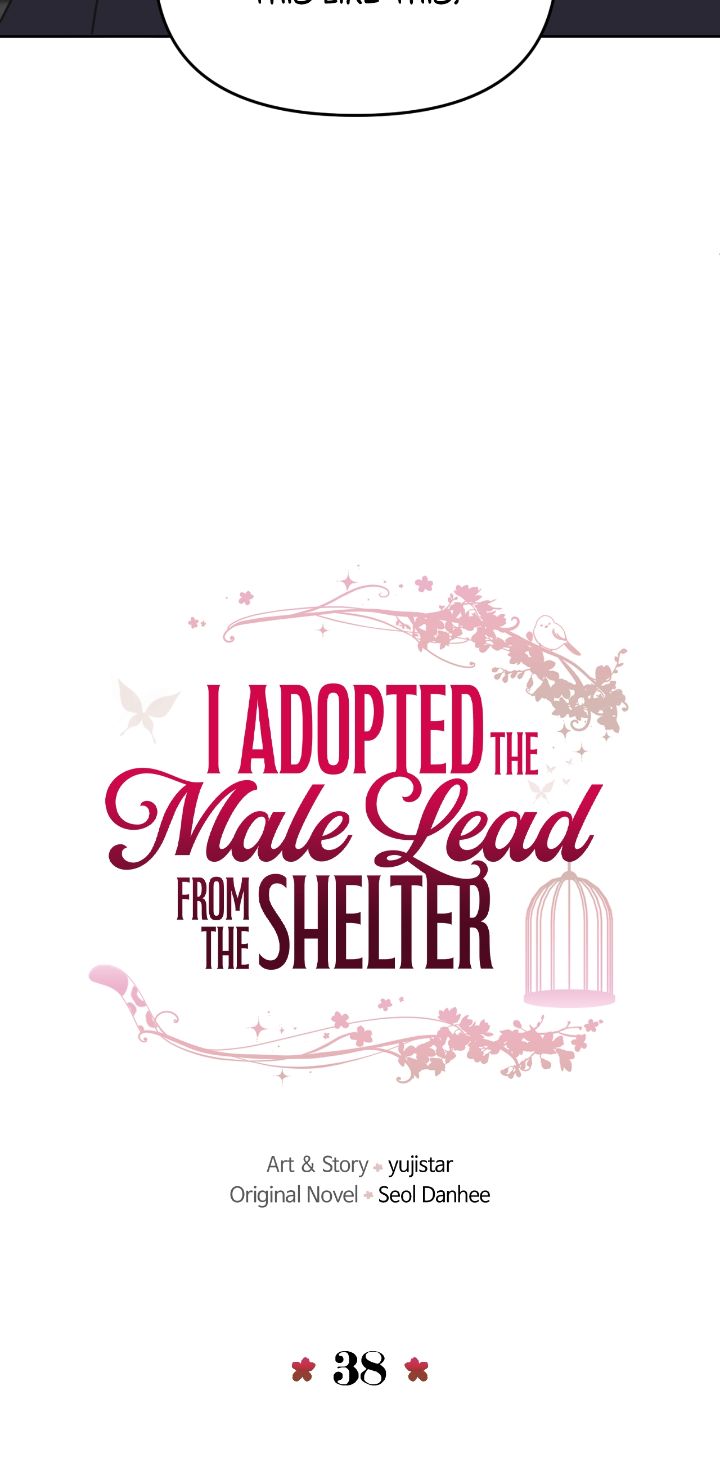 I Adopted a Male Lead From a Prison Shelter Chapter 38 - Page 9