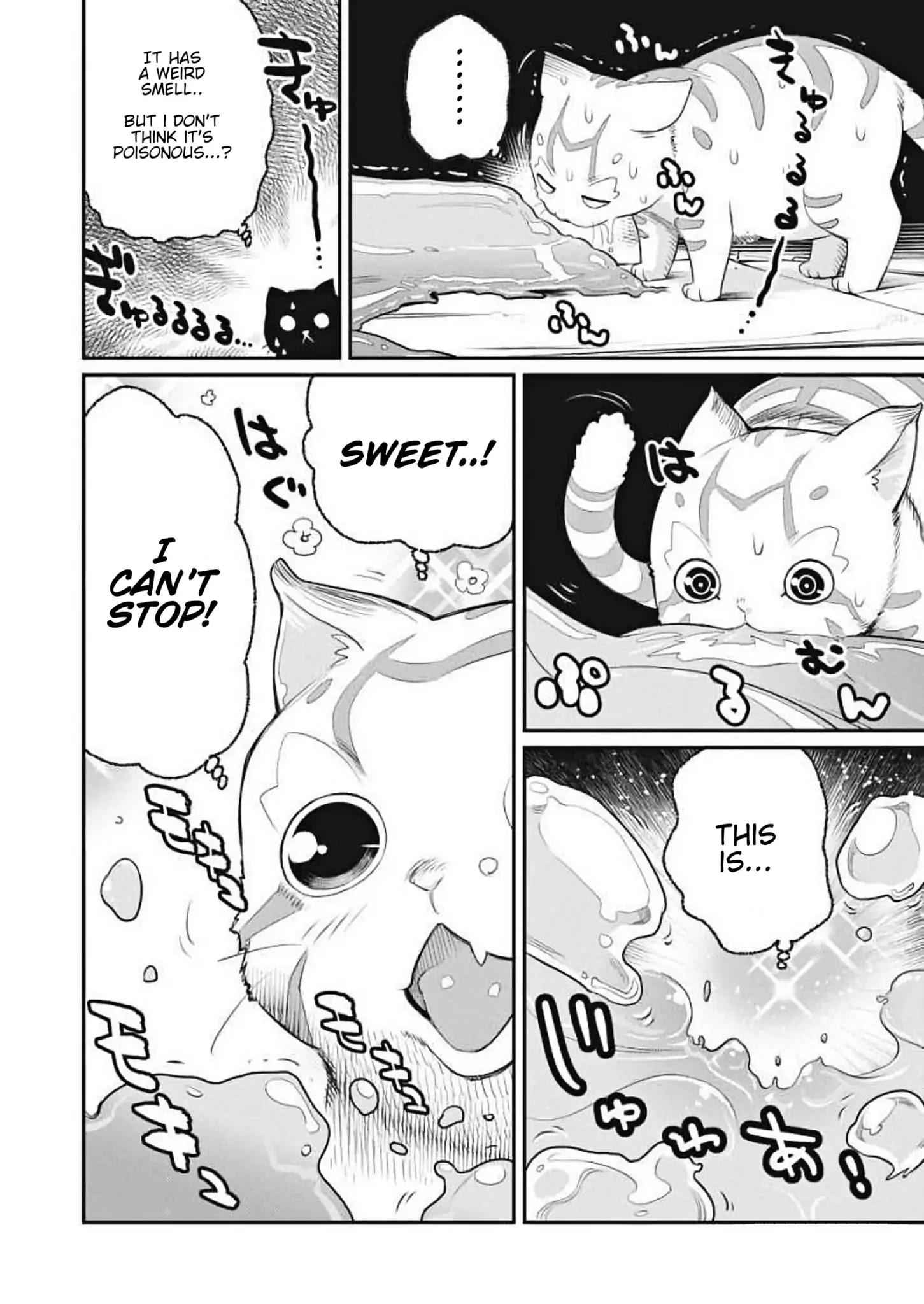 I Am Behemoth of the S Rank Monster but I Am Mistaken as a Cat and I Live as a Pet of Elf Girl Chapter 1 - Page 12