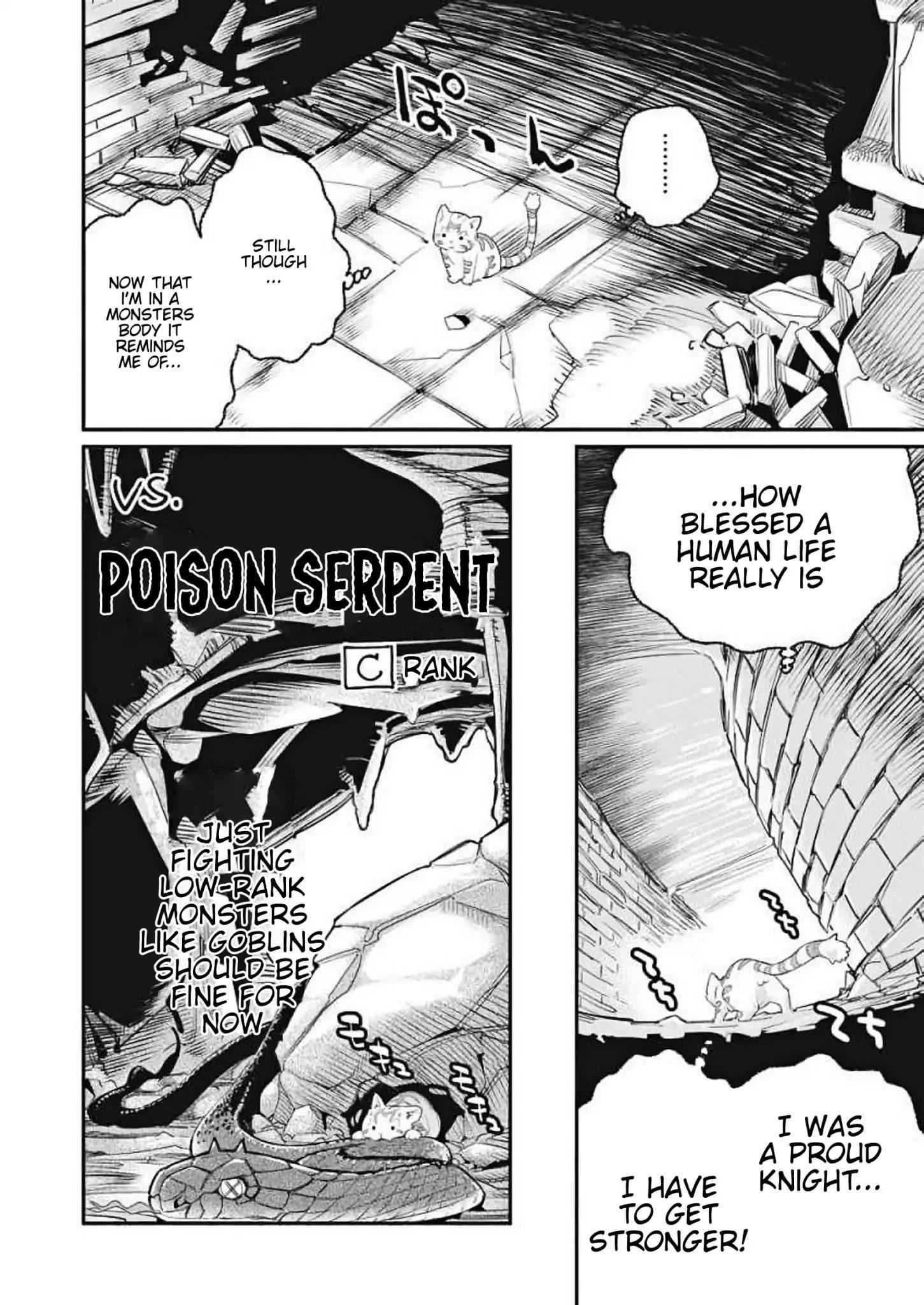 I Am Behemoth of the S Rank Monster but I Am Mistaken as a Cat and I Live as a Pet of Elf Girl Chapter 1 - Page 14