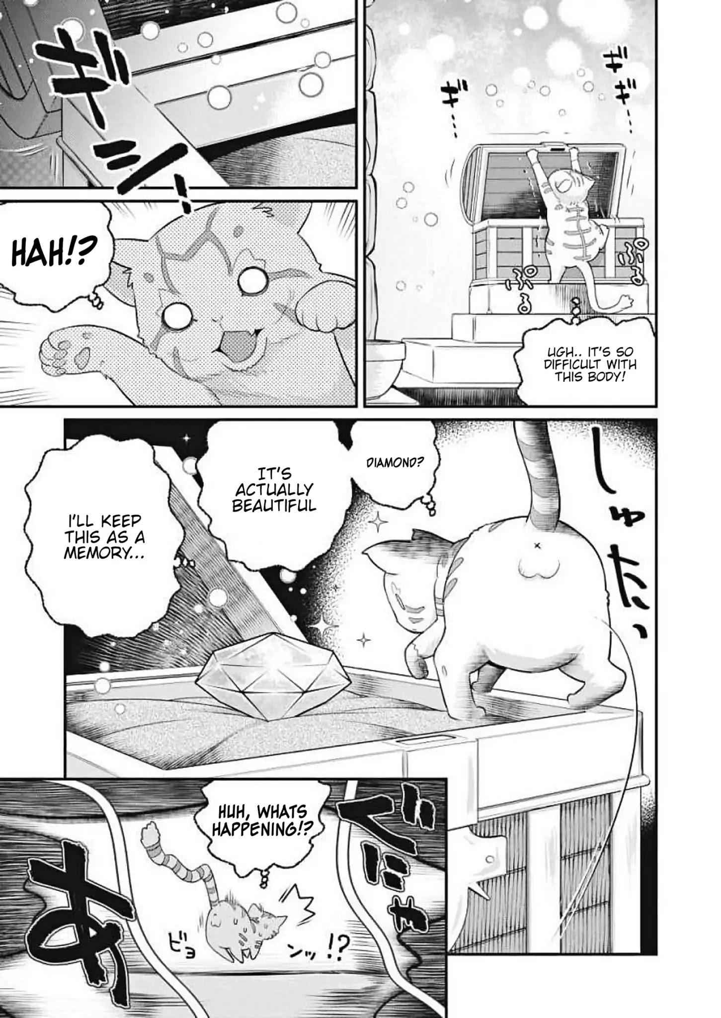I Am Behemoth of the S Rank Monster but I Am Mistaken as a Cat and I Live as a Pet of Elf Girl Chapter 1 - Page 17