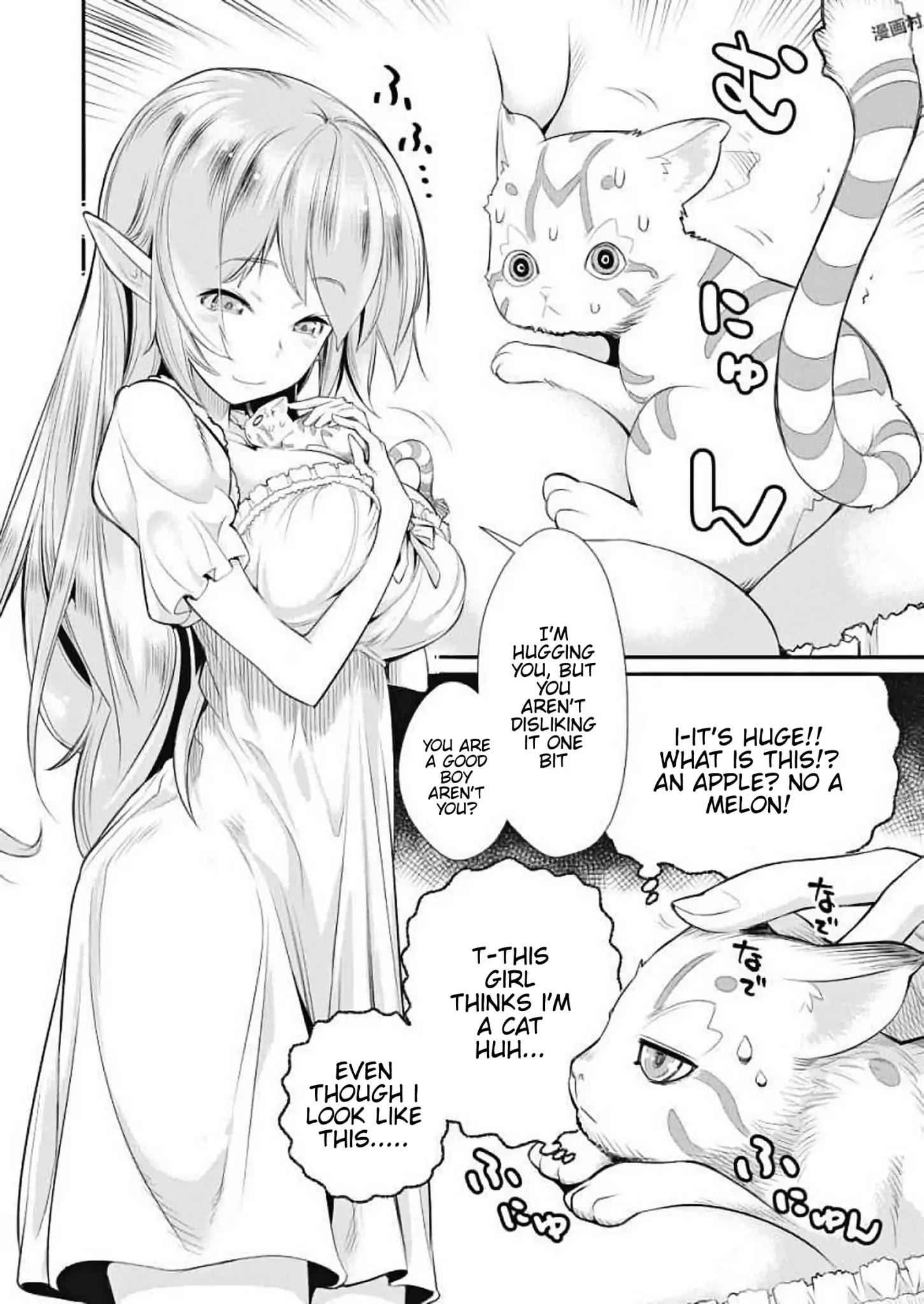 I Am Behemoth of the S Rank Monster but I Am Mistaken as a Cat and I Live as a Pet of Elf Girl Chapter 1 - Page 8