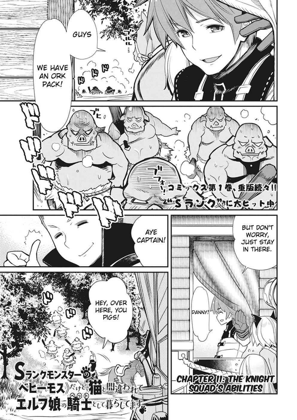I Am Behemoth of the S Rank Monster but I Am Mistaken as a Cat and I Live as a Pet of Elf Girl Chapter 11 - Page 2