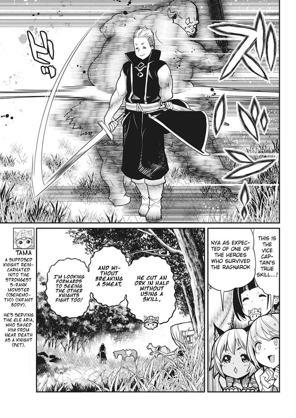 I Am Behemoth of the S Rank Monster but I Am Mistaken as a Cat and I Live as a Pet of Elf Girl Chapter 11 - Page 6