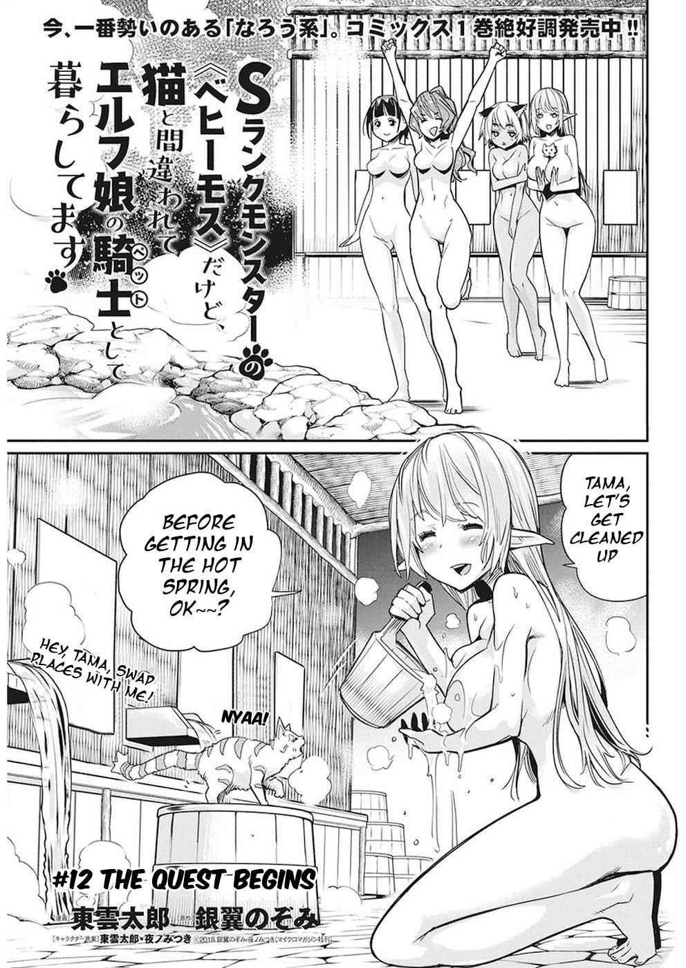 I Am Behemoth of the S Rank Monster but I Am Mistaken as a Cat and I Live as a Pet of Elf Girl Chapter 12 - Page 2