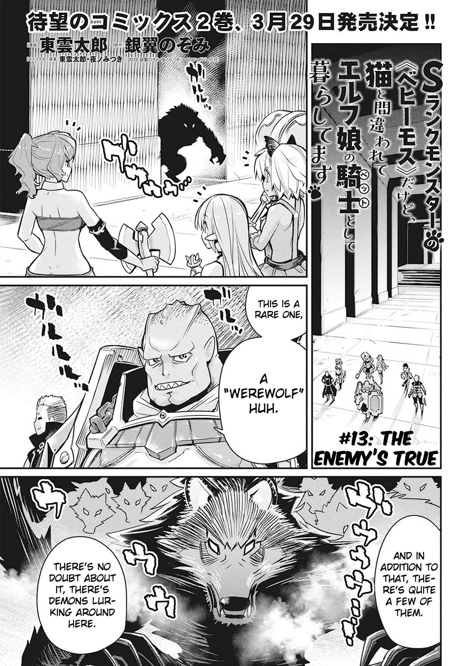 I Am Behemoth of the S Rank Monster but I Am Mistaken as a Cat and I Live as a Pet of Elf Girl Chapter 13 - Page 2