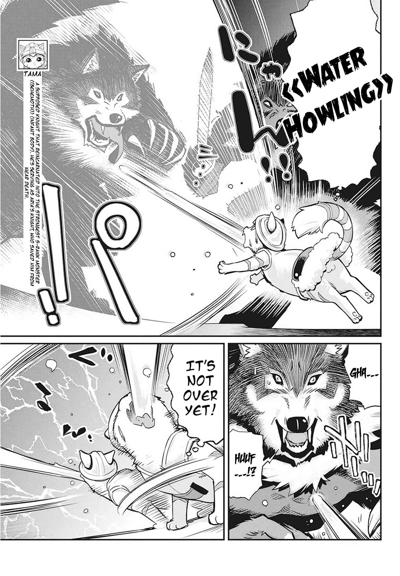 I Am Behemoth of the S Rank Monster but I Am Mistaken as a Cat and I Live as a Pet of Elf Girl Chapter 13 - Page 8