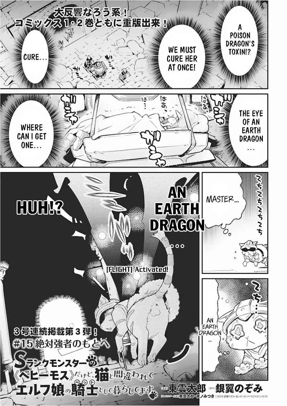 I Am Behemoth of the S Rank Monster but I Am Mistaken as a Cat and I Live as a Pet of Elf Girl Chapter 15 - Page 2