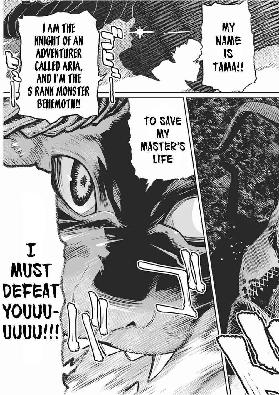 I Am Behemoth of the S Rank Monster but I Am Mistaken as a Cat and I Live as a Pet of Elf Girl Chapter 15 - Page 14