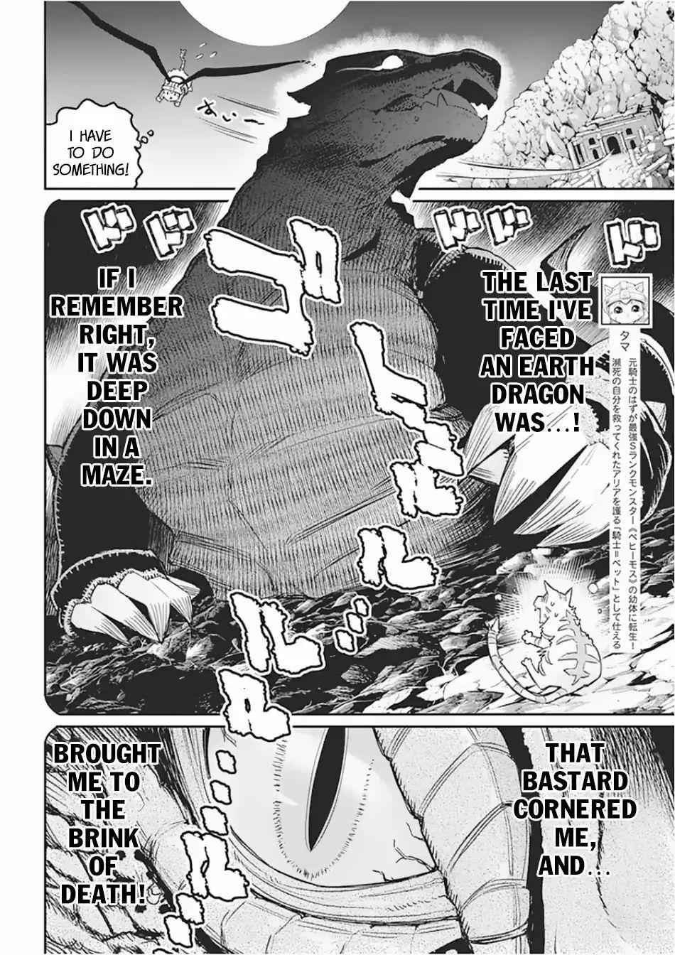 I Am Behemoth of the S Rank Monster but I Am Mistaken as a Cat and I Live as a Pet of Elf Girl Chapter 15 - Page 3