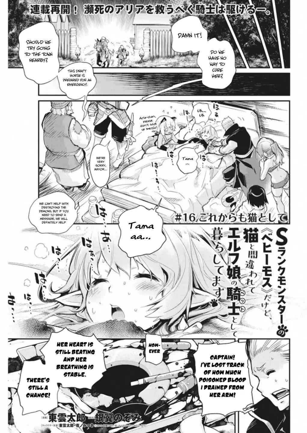 I Am Behemoth of the S Rank Monster but I Am Mistaken as a Cat and I Live as a Pet of Elf Girl Chapter 16 - Page 2