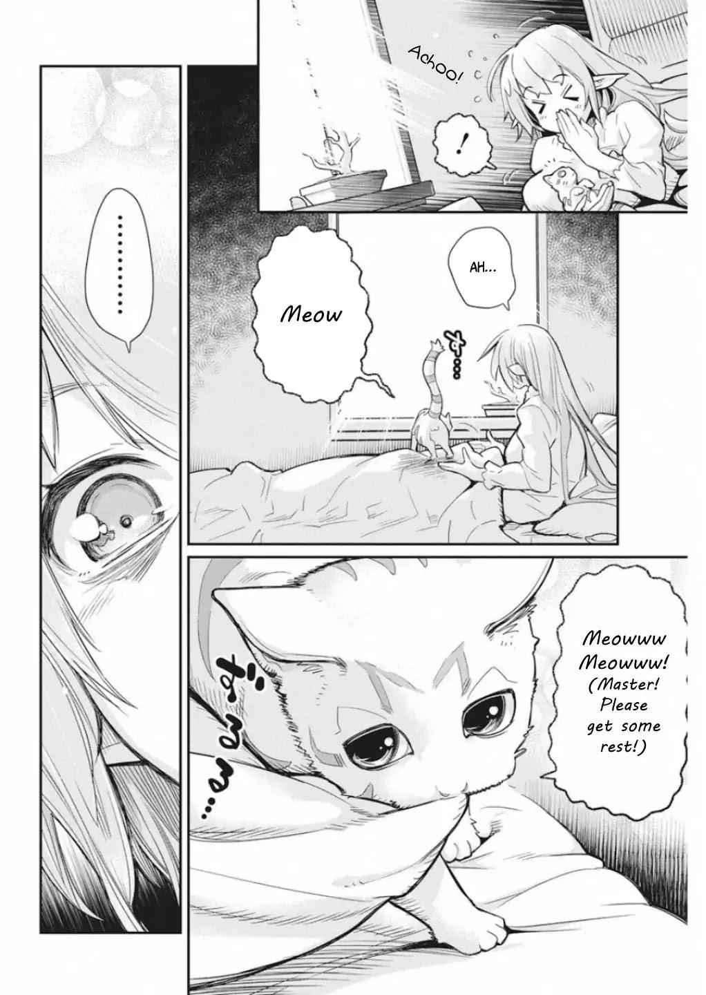 I Am Behemoth of the S Rank Monster but I Am Mistaken as a Cat and I Live as a Pet of Elf Girl Chapter 16 - Page 13