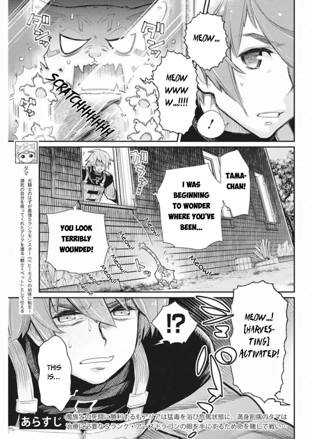 I Am Behemoth of the S Rank Monster but I Am Mistaken as a Cat and I Live as a Pet of Elf Girl Chapter 16 - Page 4